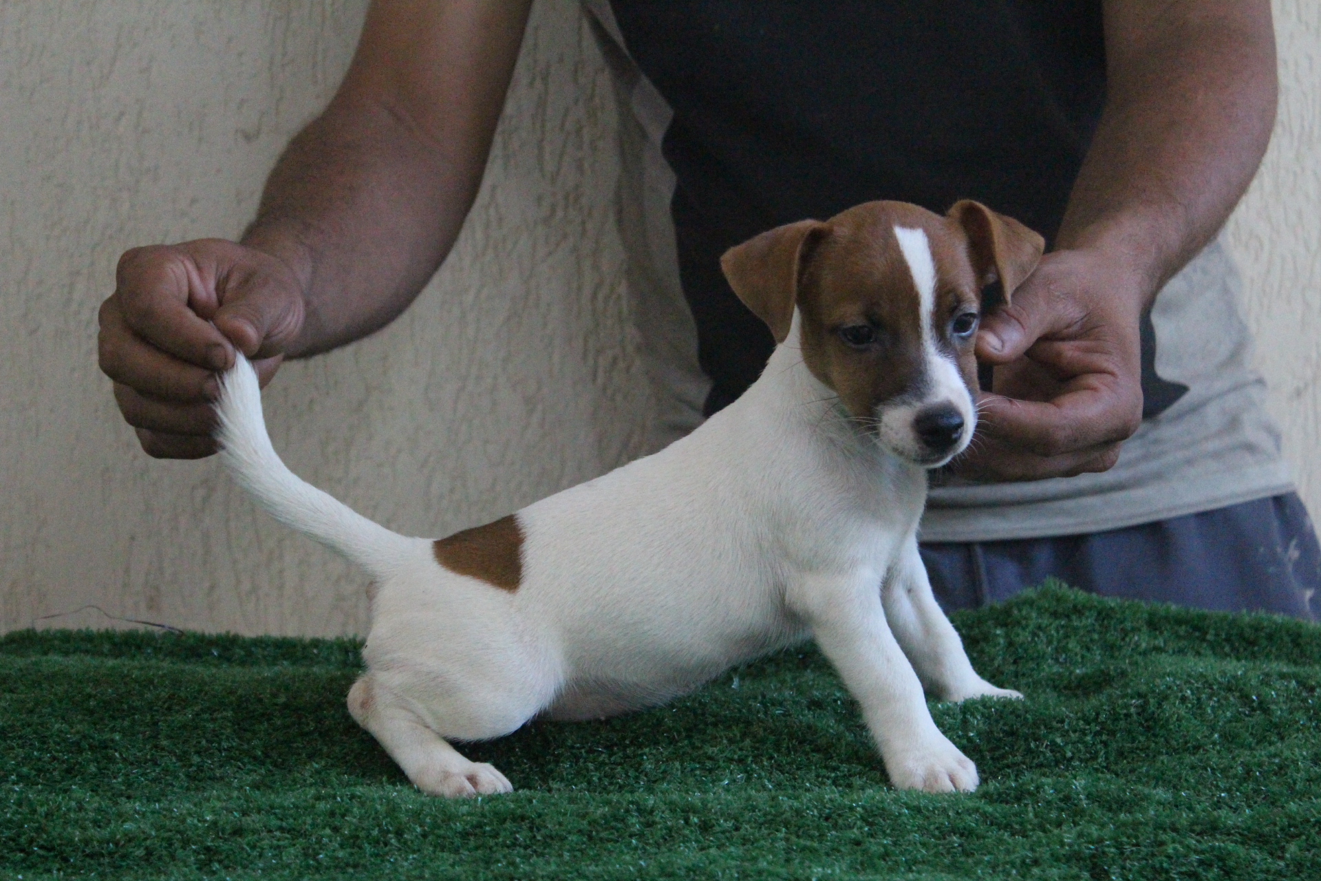 F2 Lexie 1 IMG_3606.JPG