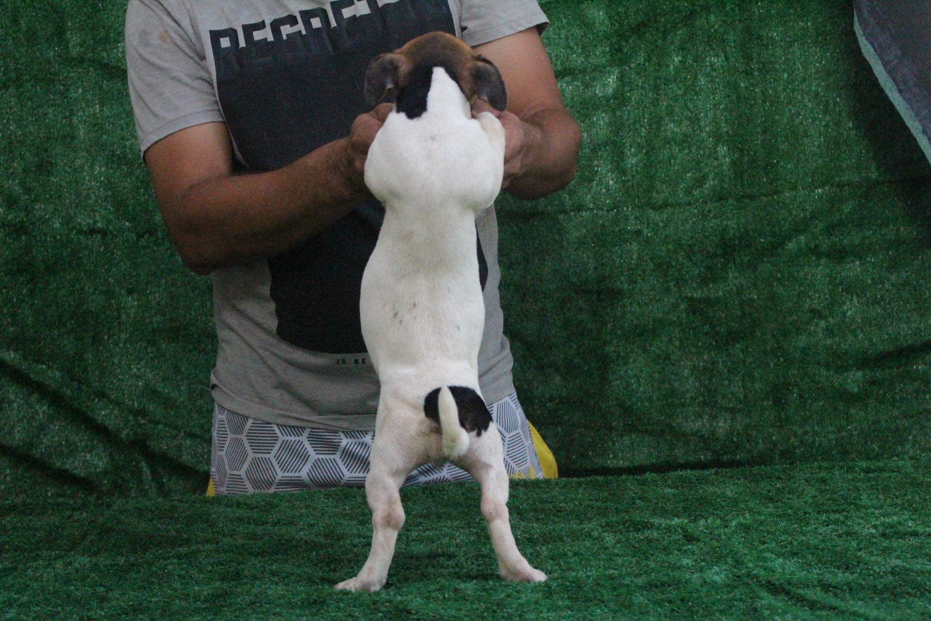 F1 Lexie 2 IMG_3811.JPG