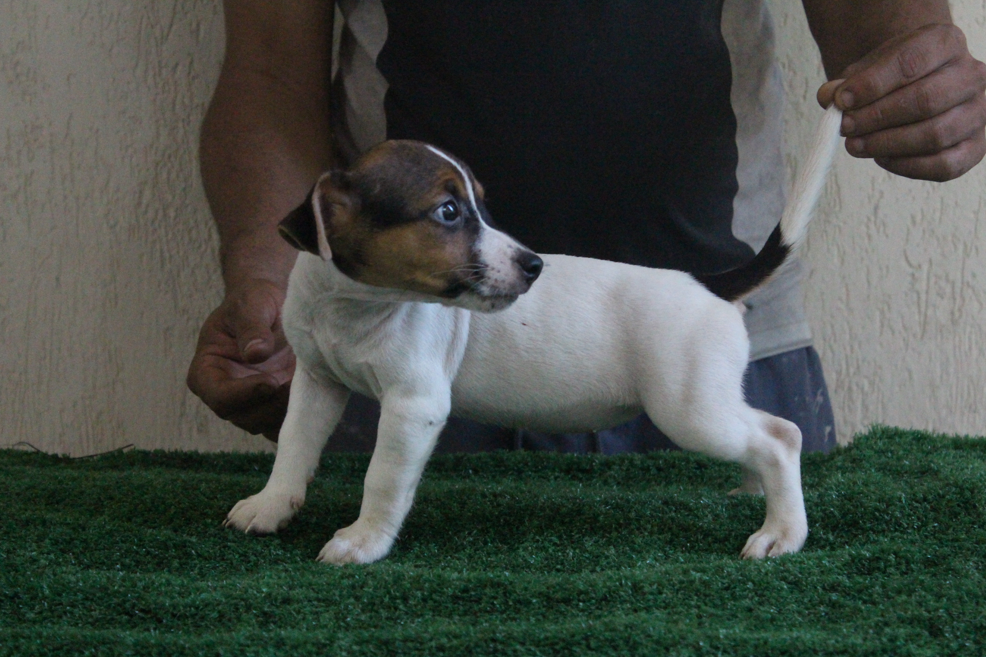 F1 Lexie 8 IMG_3584.JPG