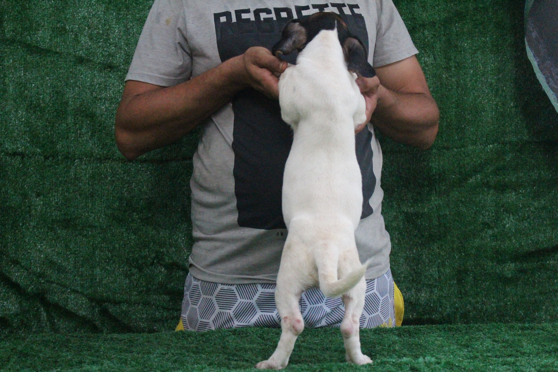 M2 Lexie 3 IMG_3728.JPG