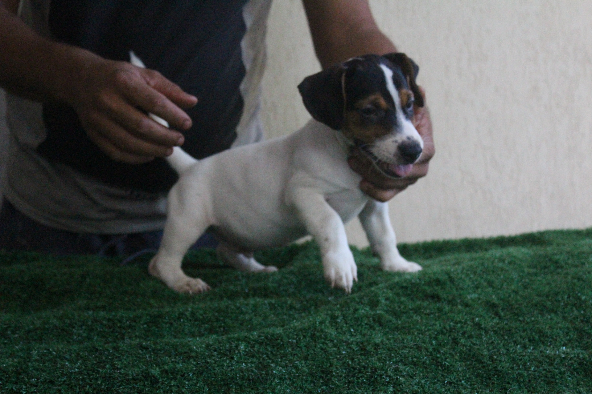 M2 Lexie 2 IMG_3559.JPG