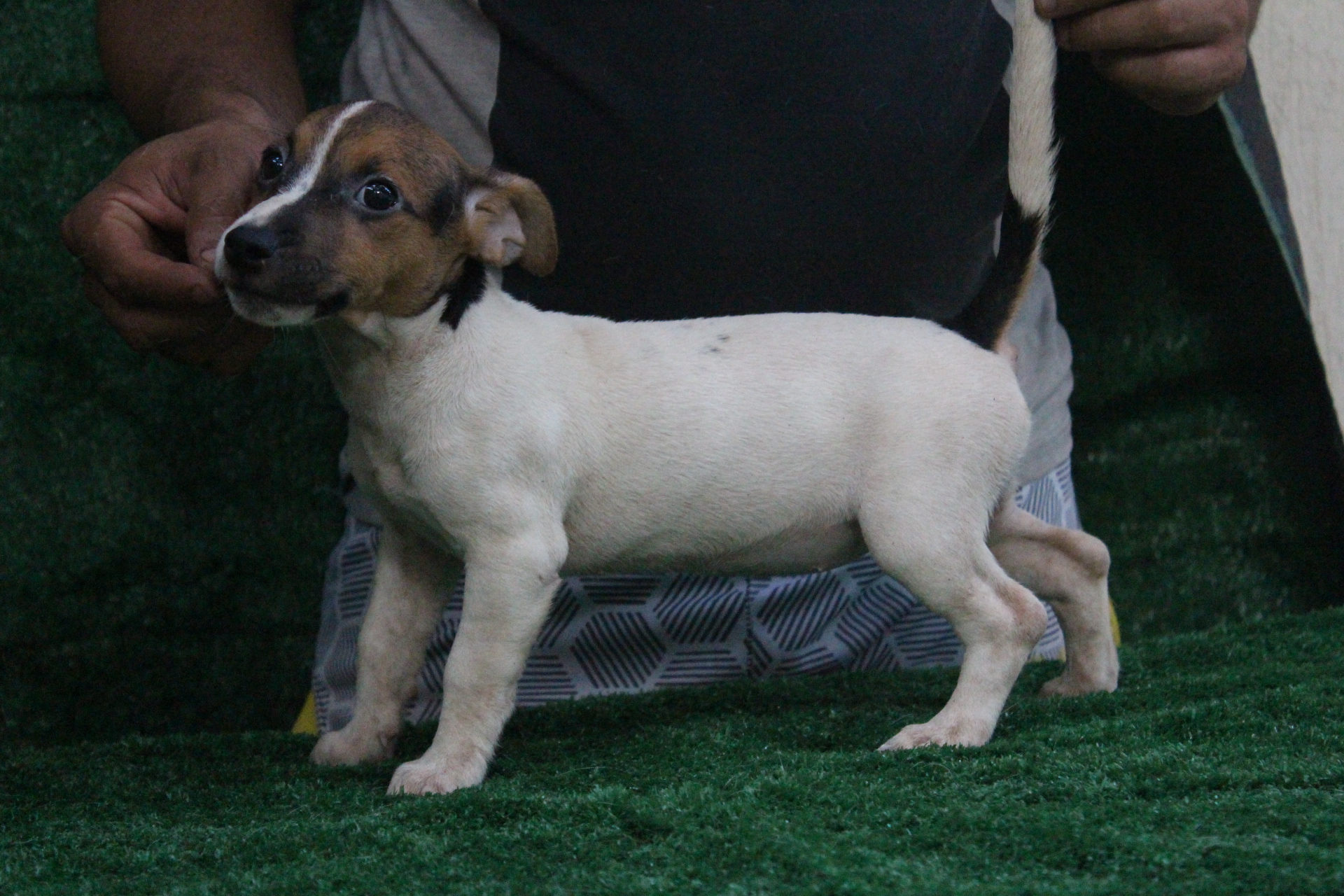 F1 Lexie 6 IMG_3826.JPG