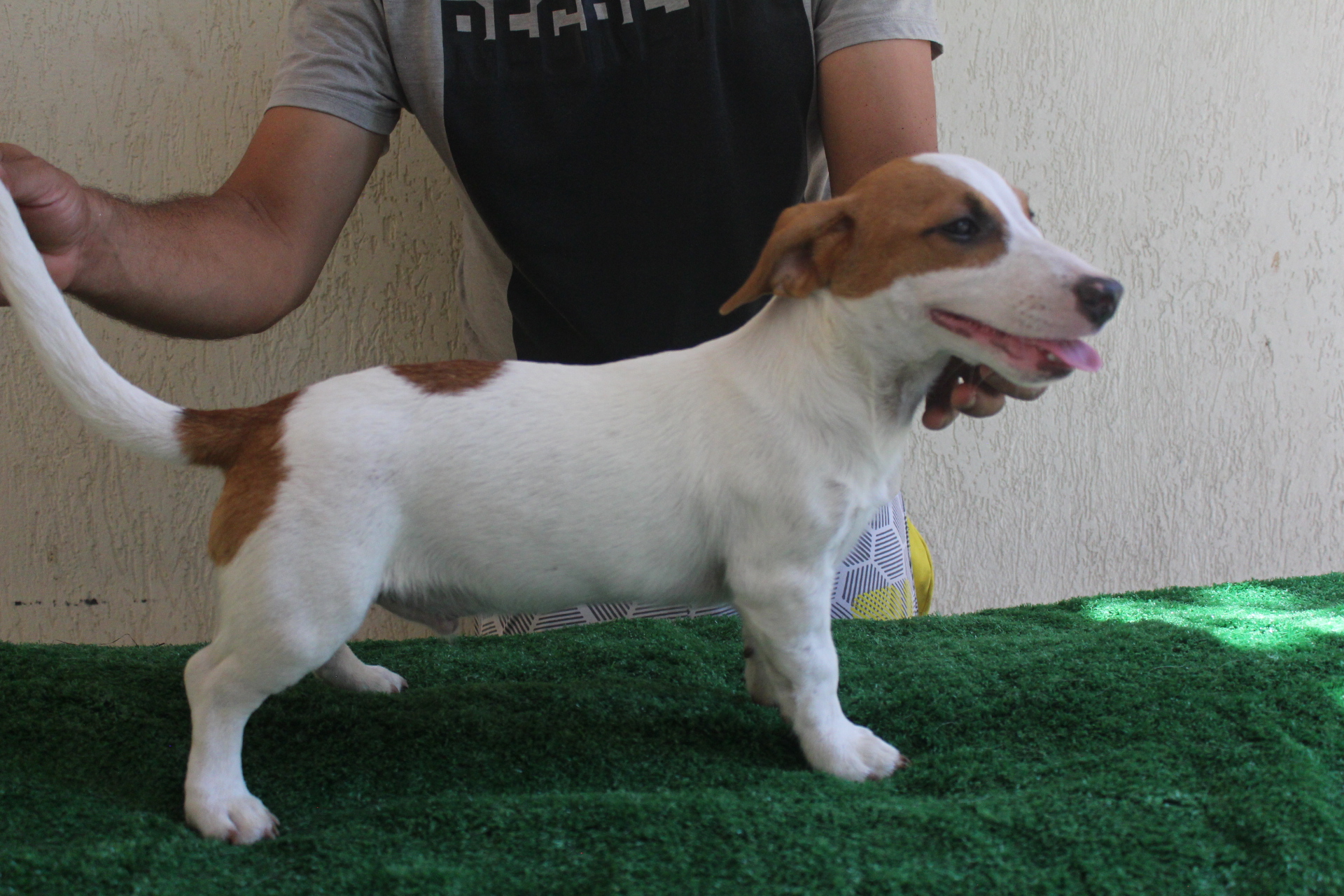 M1 Das Dô 6 IMG_3474.JPG